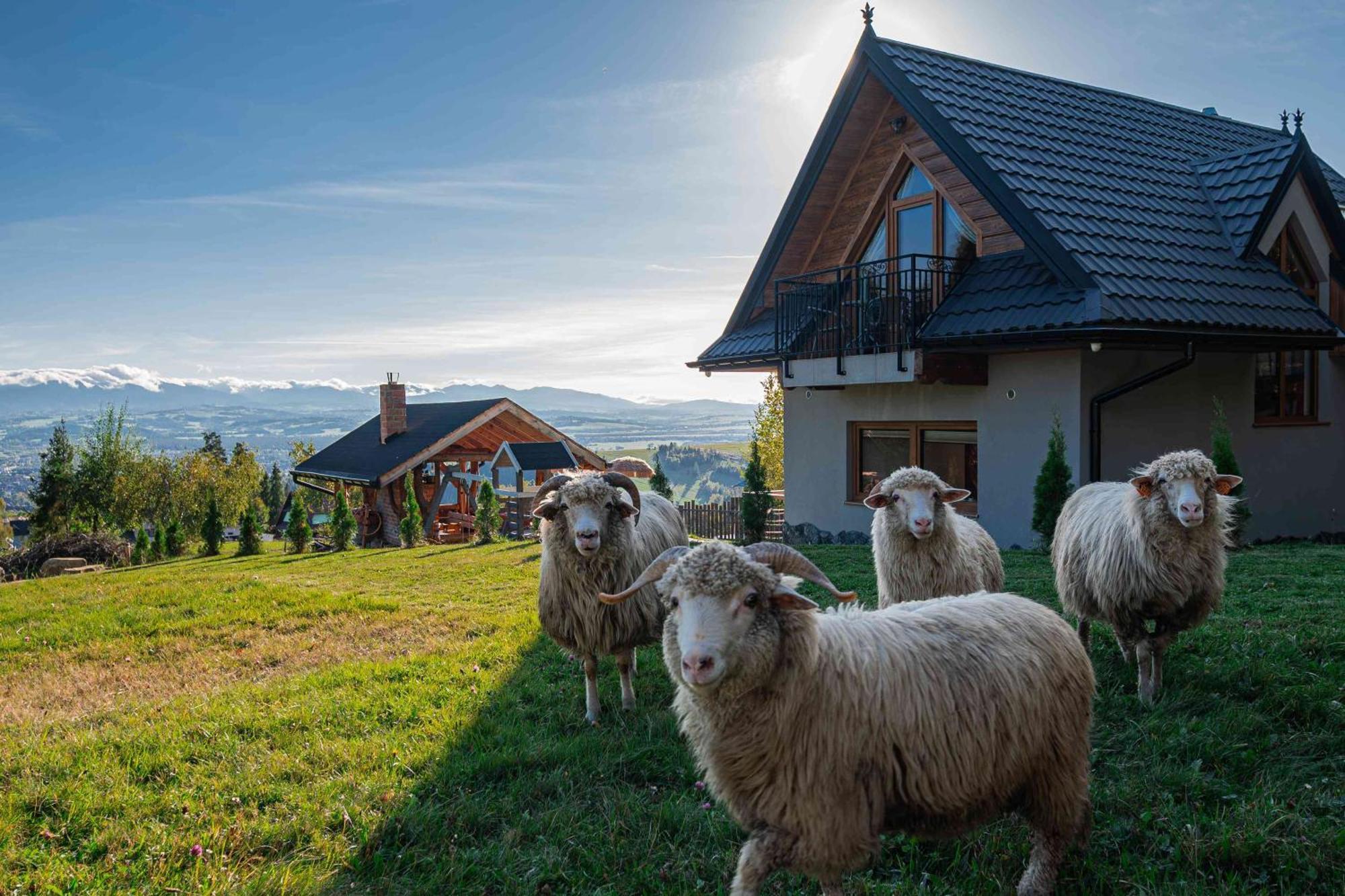 Villa Lesne Zacisze Nowy Targ Esterno foto